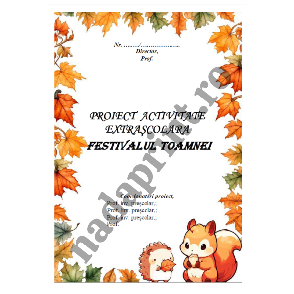 Imagine produs